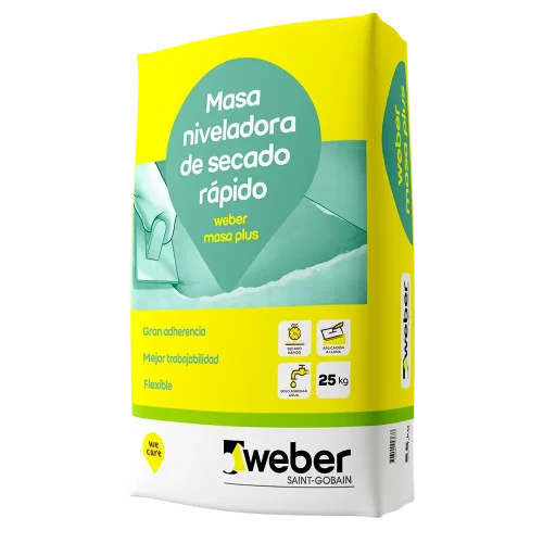 weber_masa_plus
